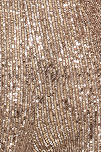 Tribeca Pants in 2 Tone Sequin