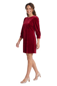 Madilyn Solid Velvet Long Sleeve Dress