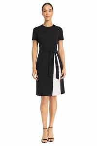 Lainy Colorblock Tie-Waist Dress