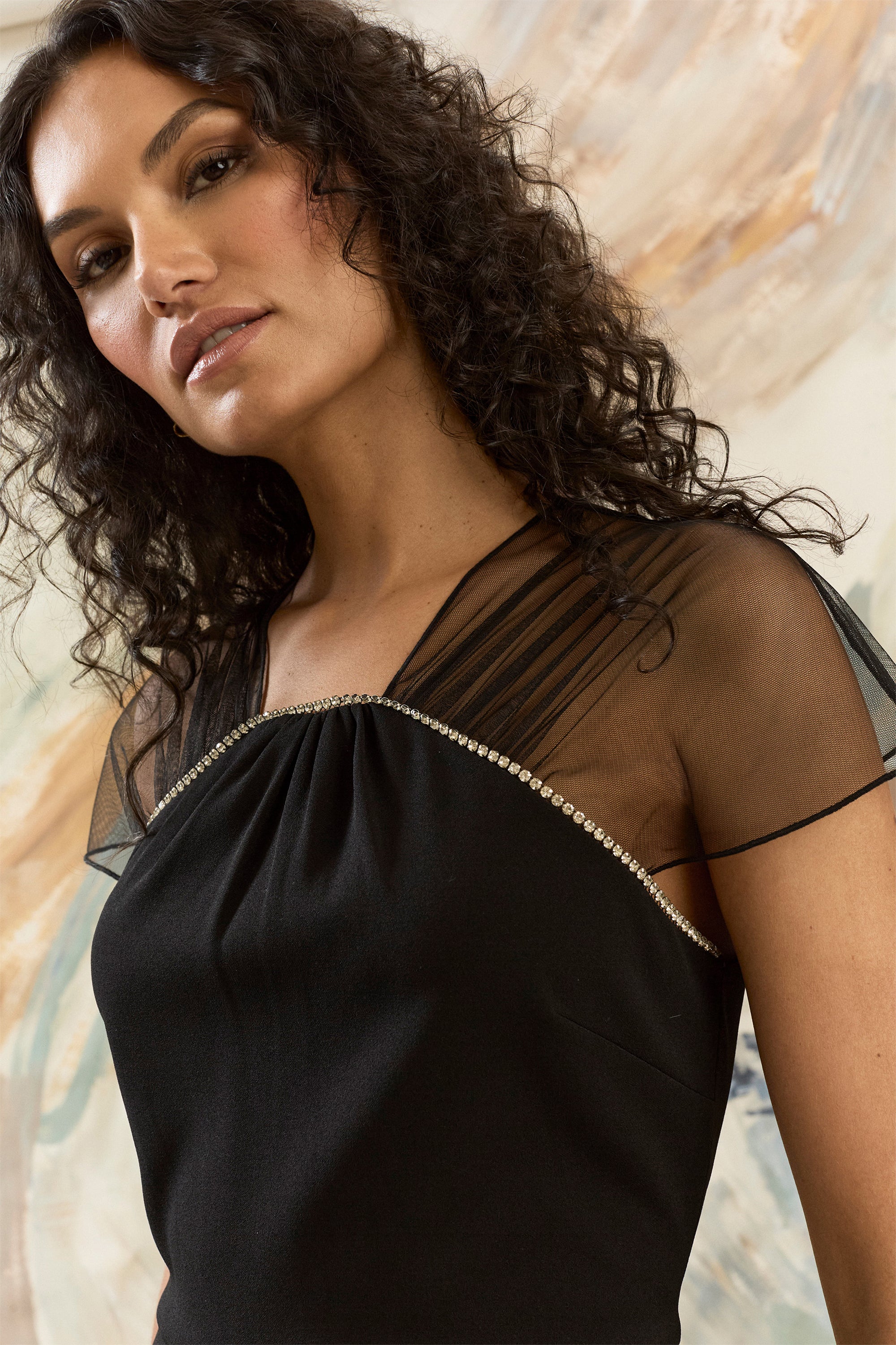 Therese Sheer Rhinestone Neck Sheath Dress